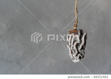 dried persimmon hanging on the ropes. Gray background dried persimmon hanging on the ropes. Gray background 88352402