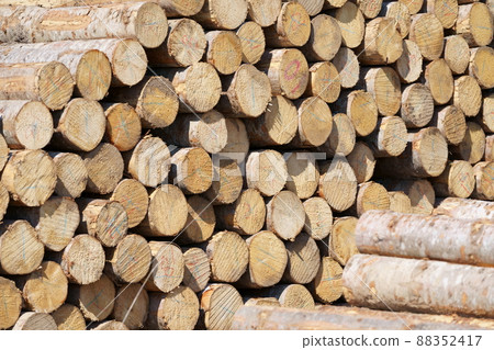 累積日誌 累積日誌 88352417