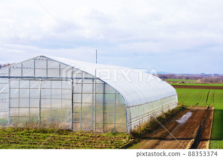 乙烯基的房子 88353374