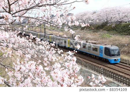 Chiba New Town Railway 9100 type train C-Flyer Sea Flyer and Sakura in full bloom Chiba New Town Railway 9100 type train C-Flyer Sea Flyer and Sakura in full bloom 88354109