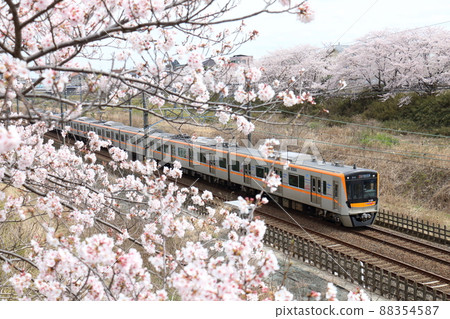 京成電鐵 3100 系列第 2 代列車和盛開的櫻花穿過千葉縣白井市附近的北總線 京成電鐵 3100 系列第 2 代列車和盛開的櫻花穿過千葉縣白井市附近的北總線 88354587