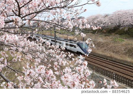 Keisei Electric Railway Narita Sky Access and Sakura in full bloom passing through the Hokuso Line near Shiroi City, Chiba Prefecture Keisei Electric Railway Narita Sky Access and Sakura in full bloom passing through the Hokuso Line near Shiroi City, Chiba Prefecture 88354625