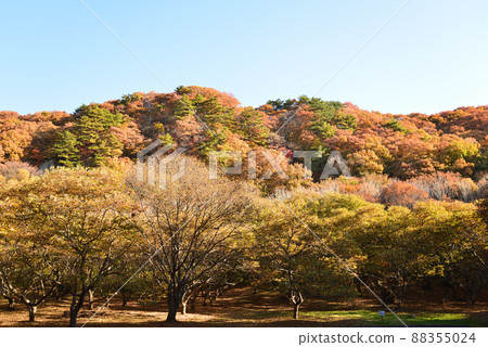 I went to Yukiwari Kaya # 1 88355024