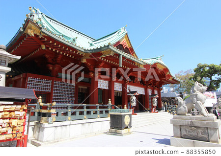 神田肌球蛋白 88355850