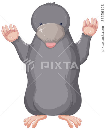 A little mole on white background A little mole on white background 88356198