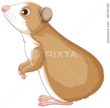 A Cute guinea pig on white background A Cute guinea pig on white background 88356199