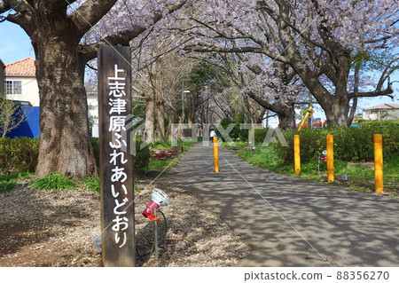 上水友愛街 88356270