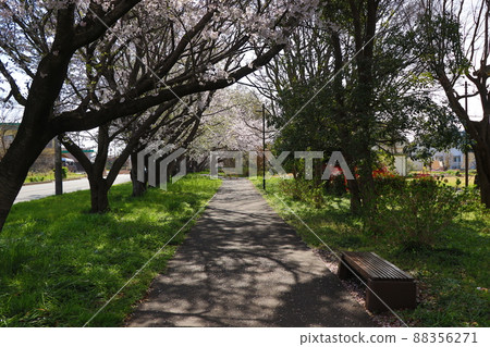 上水友愛街 88356271