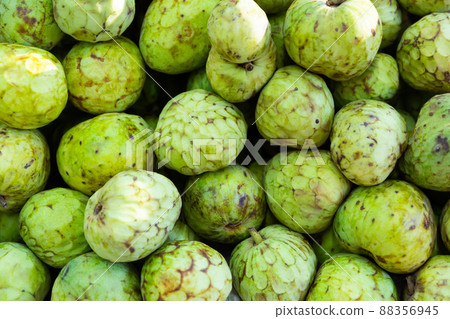 Fresh delicious cherimoya 88356945