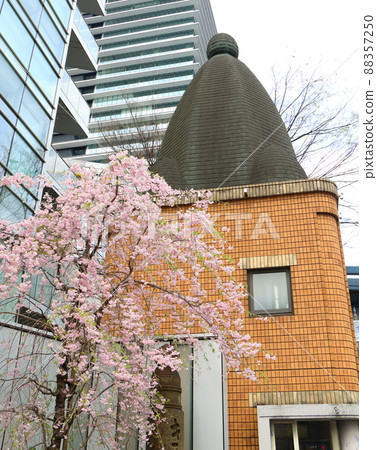 Weeping cherry blossoms and Ginza 1-chome, Chuo-ku, Tokyo Weeping cherry blossoms and Ginza 1-chome, Chuo-ku, Tokyo 88357250