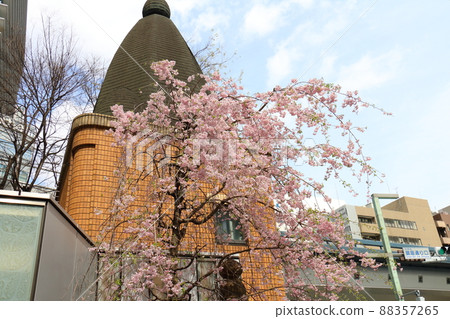 垂枝櫻花和東京都中央區銀座一丁目 88357265