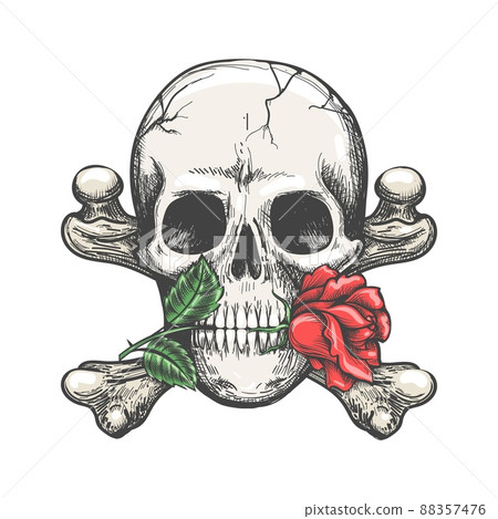Skull crossbones rose Skull crossbones rose 88357476