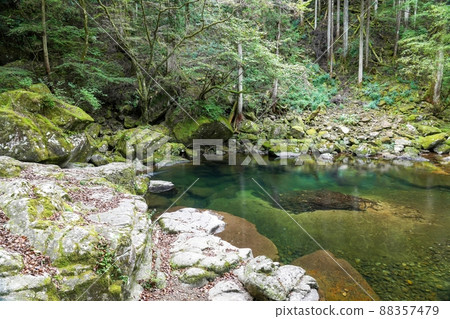 在赤目 48 瀑布@三重看到的苔蘚岩石和清澈的水池之間的合作 88357479