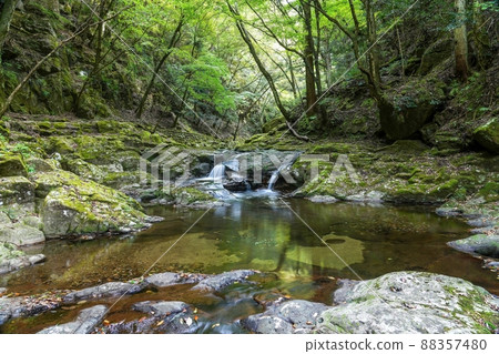 三重縣赤目 48 瀑布環繞著苔蘚岩石的兩個瀑布的風景 88357480