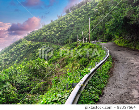 Waipio Valley Road, the steepest road in the USA leading down to Punaluu Black Sand Beach in Hawaii Waipio Valley Road, the steepest road in the USA leading down to Punaluu Black Sand Beach in Hawaii 88357664