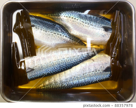 A square stainless steel bowl filled with fresh mackerel marinated in kelp and vinegar. 88357978