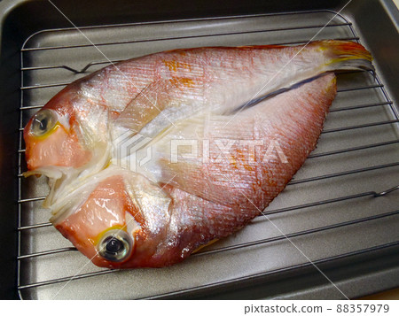 烤前準備的方頭魚的開口(乾魚) 烤前準備的方頭魚的開口(乾魚) 88357979