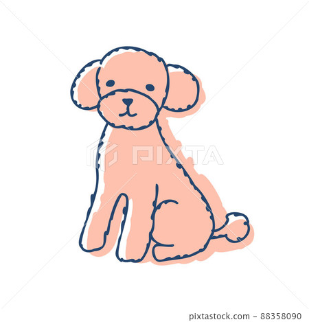 一隻玩具貴賓犬坐著看著你 一隻玩具貴賓犬坐著看著你 88358090