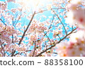 Sakura: SONY α7III, 24-70mm F2.8 DG DN | Art, OPF 480-L 88358100