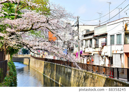 西武新宿線中井站周邊/妙勝寺川（東京都新宿區）[2022.3] 88358245