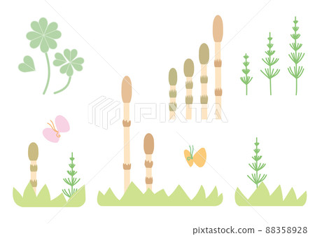 春天的宗教 88358928