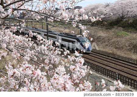 Keisei Electric Railway Narita Sky Access and Sakura in full bloom passing through the Hokuso Line near Shiroi City, Chiba Prefecture Keisei Electric Railway Narita Sky Access and Sakura in full bloom passing through the Hokuso Line near Shiroi City, Chiba Prefecture 88359039