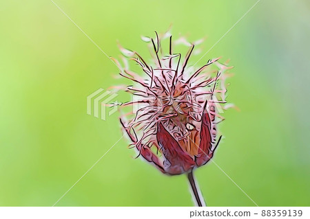 Pastel-like "Furin Daikonsou" illustration image Pastel-like "Furin Daikonsou" illustration image 88359139