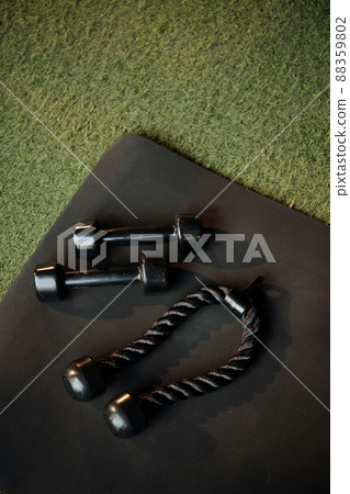 Dumbbells And Triceps Rope Dumbbells And Triceps Rope 88359802