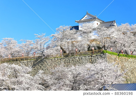 [岡山縣]晴空下的津山城櫻花盛開（美中塔） 88360198