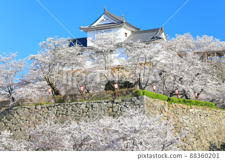 [岡山縣]晴空下的津山城櫻花盛開（美中塔） 88360201