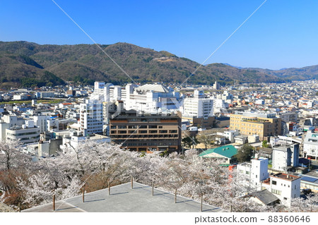 [岡山縣]津山城和津山市街道（鶴山公園）盛開的櫻花 88360646
