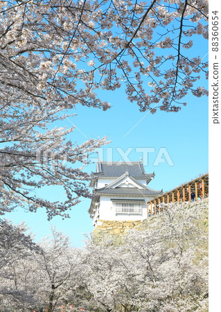 [岡山縣]晴空下的津山城櫻花盛開（美中塔） 88360654