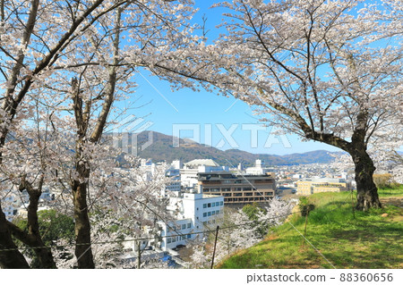[岡山縣]津山城和津山市街道（鶴山公園）盛開的櫻花 88360656
