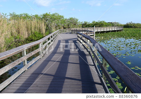 Anhinga Trail and boardwalk in Everglades National Park, Florida. 88360876