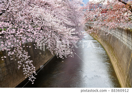 Shinkaibashi / Looking upstream from the Kanda River (Shinjuku-ku, Tokyo) [2022.3] 88360912