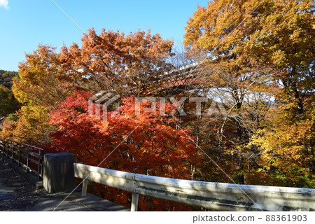 I went to Yukiwari Kaya # 36 I went to Yukiwari Kaya # 36 88361903