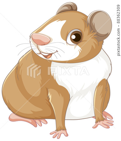 A Cute guinea pig on white background 88362309
