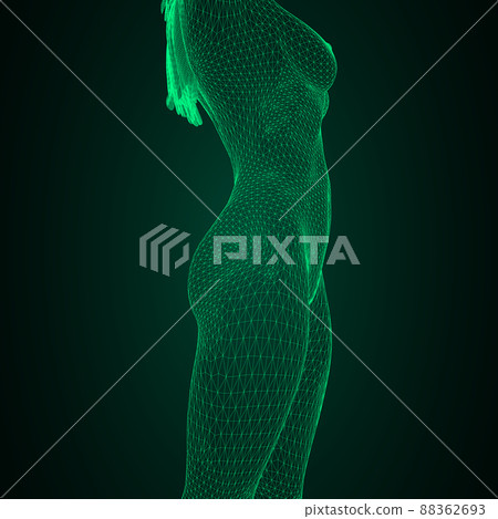 Conceptual vector illustration of a human body. Female breast and body in the form of a three-dimensional triangular polygonal mesh made of black lines. Conceptual vector illustration of a human body. Female breast and body in the form of a three-dimensional triangular polygonal mesh made of black lines. 88362693