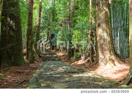 《和歌山縣》熊野古道/大門坂 88363609