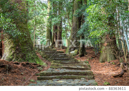 《Wakayama Prefecture》 Kumano Kodo / Daimonzaka 《Wakayama Prefecture》 Kumano Kodo / Daimonzaka 88363611