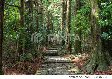《和歌山縣》熊野古道/大門坂 88363616