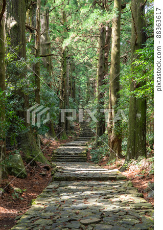 《和歌山縣》熊野古道/大門坂 《和歌山縣》熊野古道/大門坂 88363617