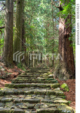 《Wakayama Prefecture》 Kumano Kodo / Daimonzaka 88363623