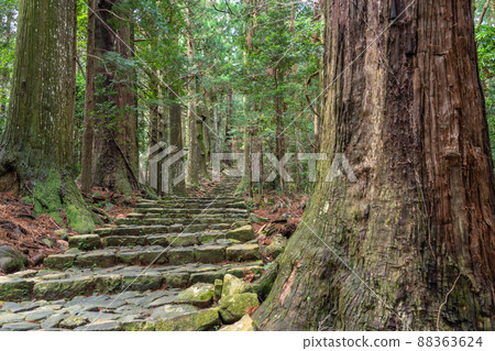《和歌山縣》熊野古道/大門坂 《和歌山縣》熊野古道/大門坂 88363624