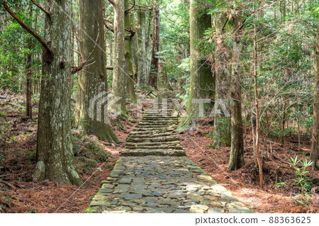 《和歌山縣》熊野古道/大門坂 88363625
