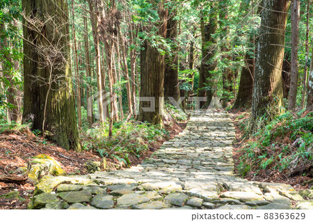《Wakayama Prefecture》 Kumano Kodo / Daimonzaka 《Wakayama Prefecture》 Kumano Kodo / Daimonzaka 88363629