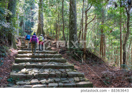 《和歌山縣》熊野古道/大門坂 《和歌山縣》熊野古道/大門坂 88363643