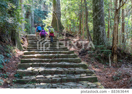 《和歌山縣》熊野古道/大門坂 《和歌山縣》熊野古道/大門坂 88363644