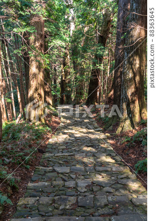 《和歌山縣》熊野古道/大門坂 《和歌山縣》熊野古道/大門坂 88363645