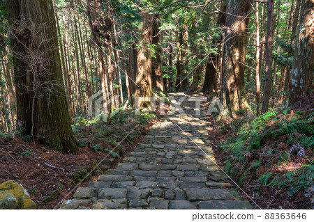 《和歌山縣》熊野古道/大門坂 88363646